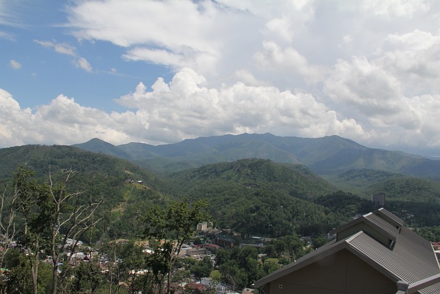 Tree House Rentals in Gatlinburg and Pigeon Forge