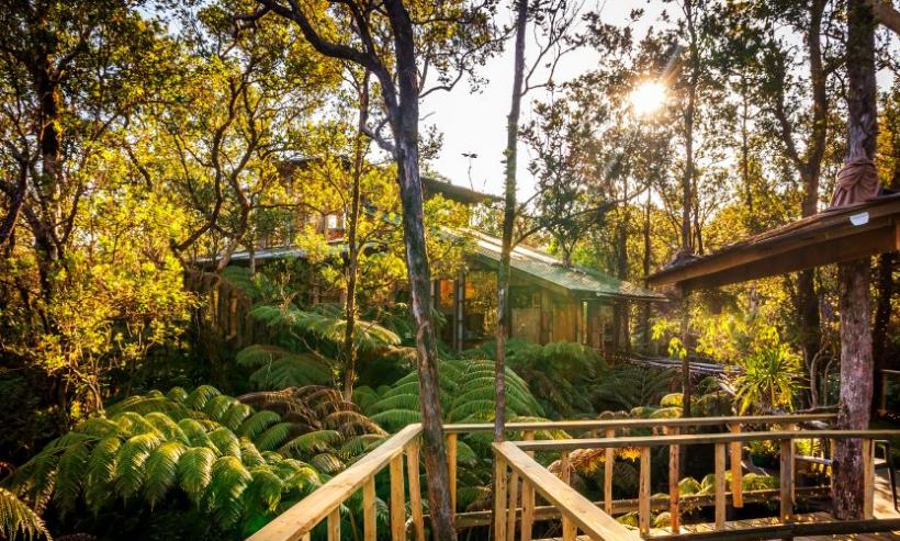 6 Amazing Hawaiian Treehouse Rentals You Need to Se