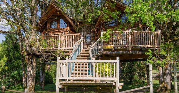 Top Treehouse Rentals in Cave Junction, Oregon
