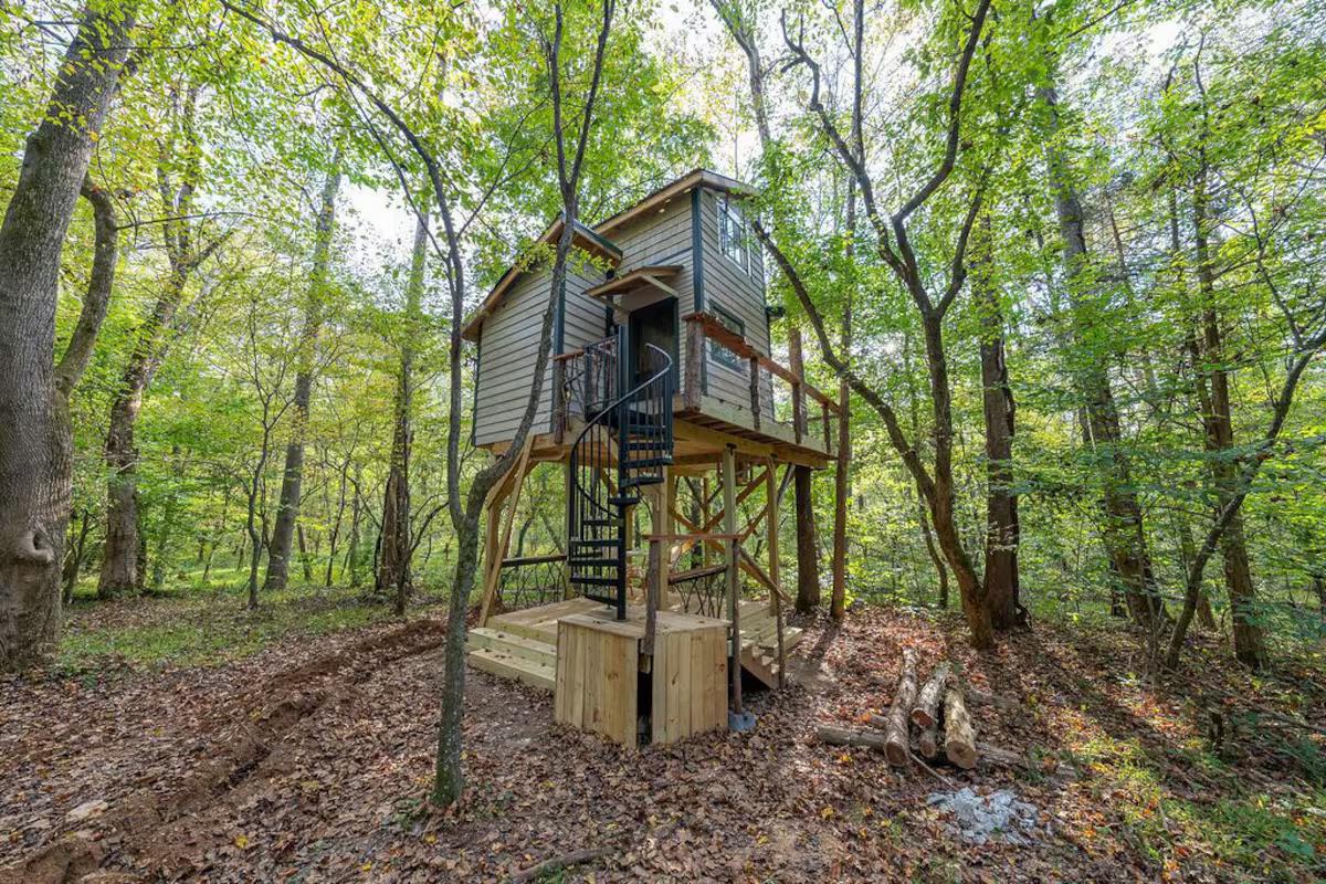 Top 8 Treehouse Rentals in Virginia